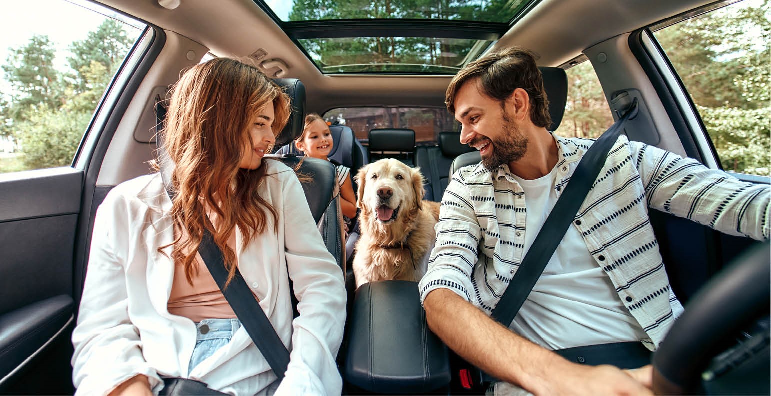 family riding in car with dog