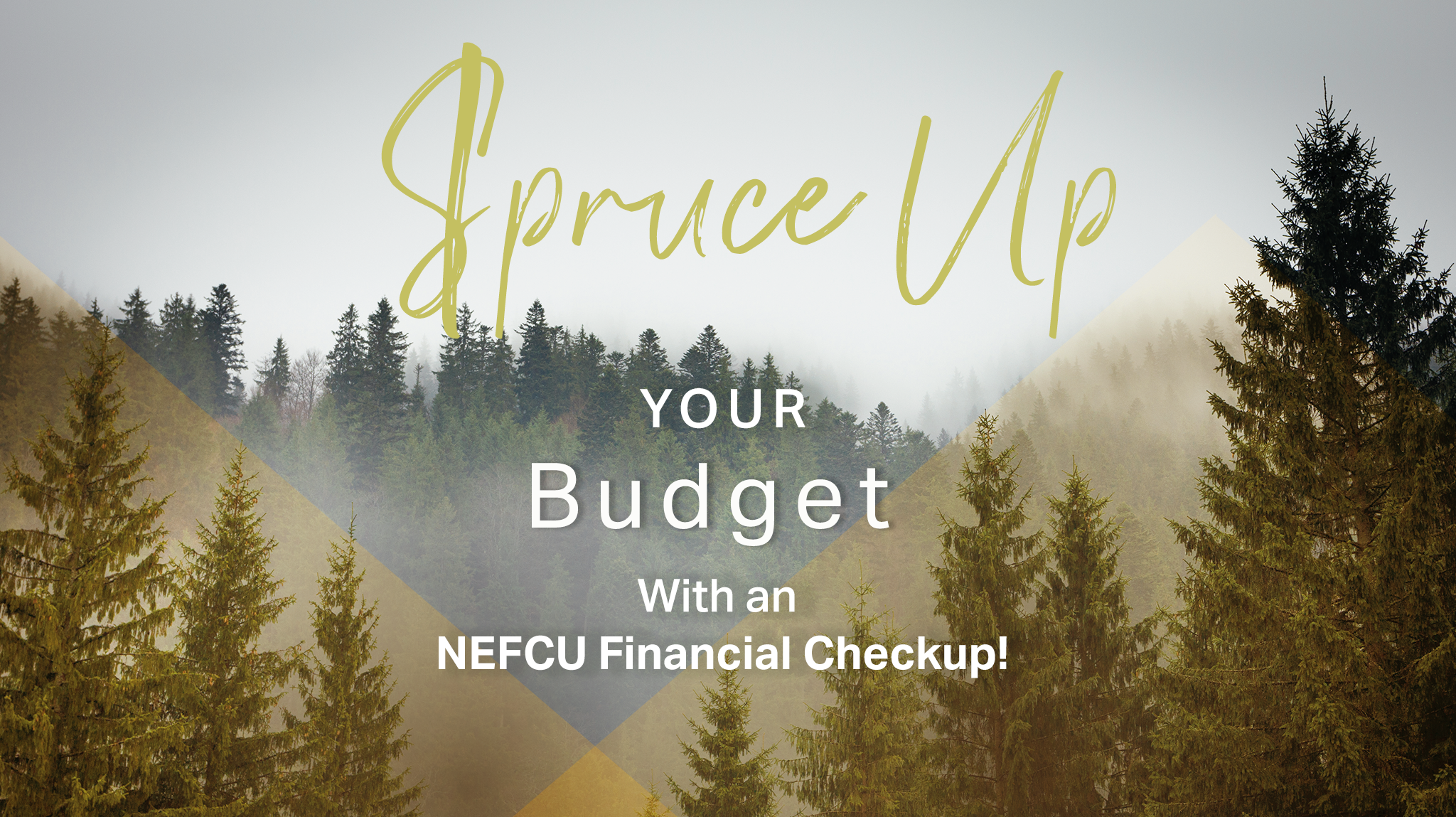 pines trees in background promote spruce up your budget