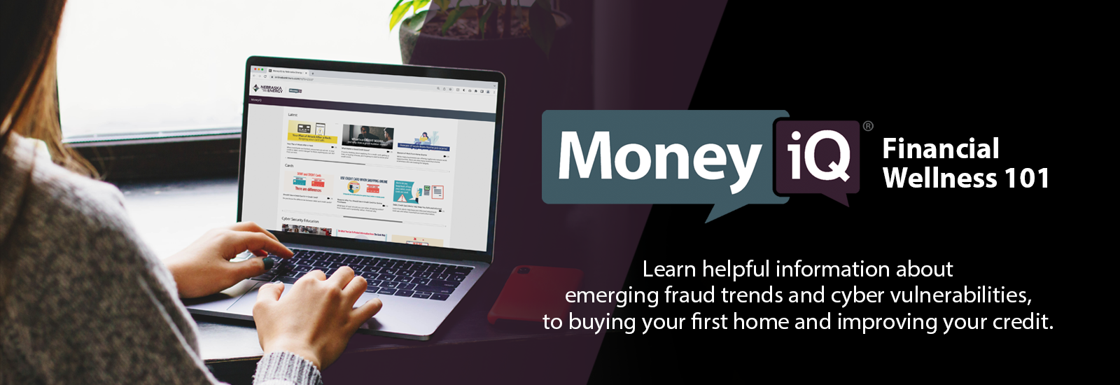 financial library on laptop