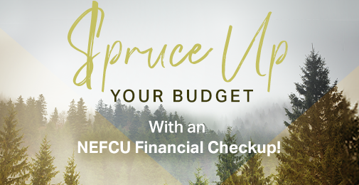 Spruce Up Your Budget with NEFCU Financial Checkup