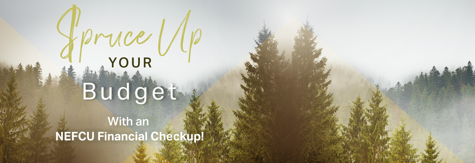 Spruce Up your Budget with an NEFCU Financial Checkup